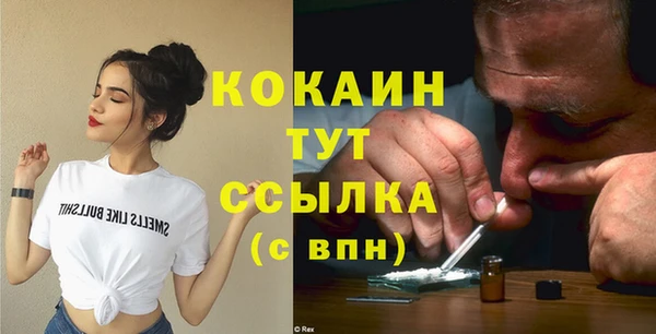 дмт Карпинск
