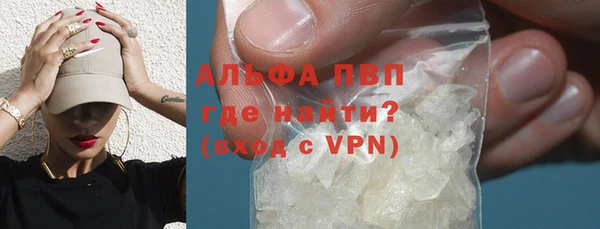стаф Касимов