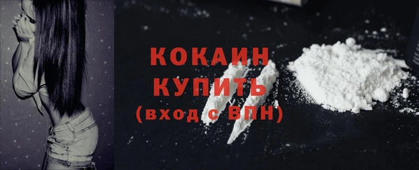 дмт Карпинск
