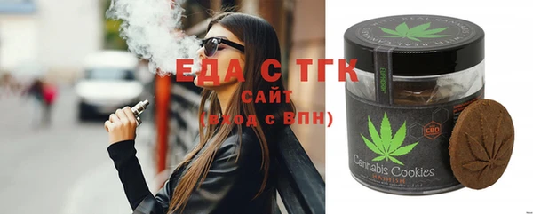 стаф Касимов