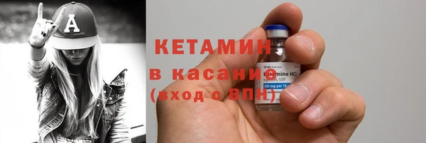 стаф Касимов
