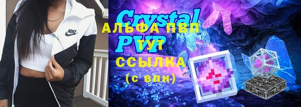 стаф Касимов