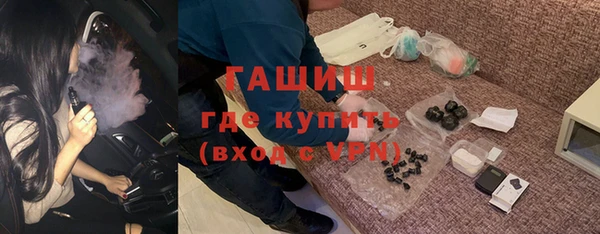 стаф Касимов