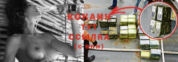 стаф Касимов