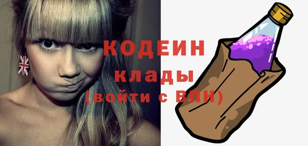 стаф Касимов