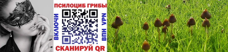 Купить  Бодайбо  Псилоцибиновые грибы Magic Shrooms 